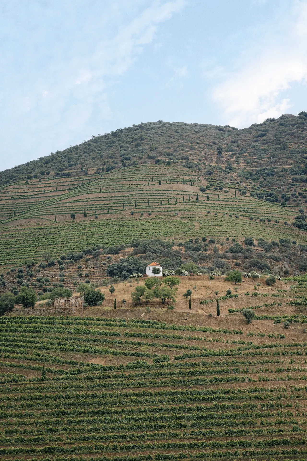 Pombal do Vesúvio